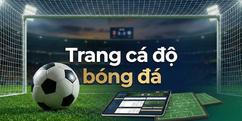 Dịch Vụ Cược Thể Thao 888Vi Chất Lượng